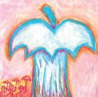 Deerhoof - Apple O' in der Gruppe CD bei Bengans Skivbutik AB (1000407)