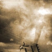 Paper Chase The - Someday This Could All Be Your S Vo in der Gruppe CD bei Bengans Skivbutik AB (1003402)