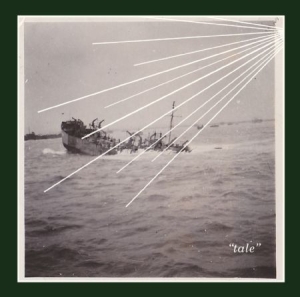 Sontag Shogun - Tale in der Gruppe CD bei Bengans Skivbutik AB (1003429)