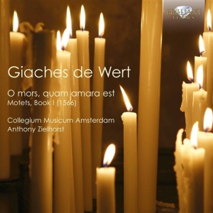 De Wert - Motets in der Gruppe CD bei Bengans Skivbutik AB (1004616)