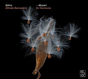 Mozart - En Harmonie in der Gruppe CD bei Bengans Skivbutik AB (1006234)
