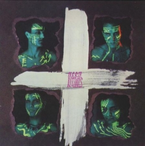 Neon - Rituals in der Gruppe VINYL bei Bengans Skivbutik AB (1009673)