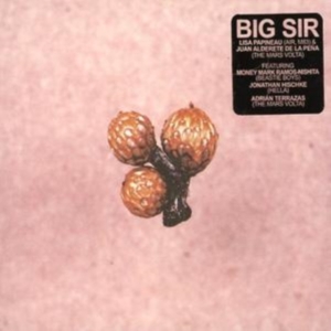 Big Sir - Und Die Scheibe Andert Sichimmer in der Gruppe CD bei Bengans Skivbutik AB (1011988)