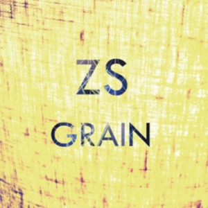 Zs - Grain in der Gruppe CD / Pop-Rock bei Bengans Skivbutik AB (1012058)