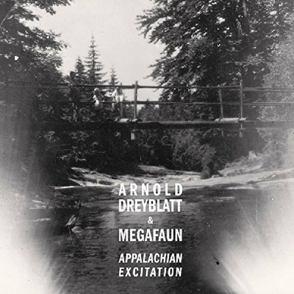 Dreyblatt Arnold & Megafaun - Appalachian Excitation in der Gruppe CD / Bestseller bei Bengans Skivbutik AB (1012062)
