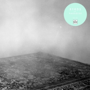 Byrds Of Paradise - Teenage Symphonies in der Gruppe VINYL bei Bengans Skivbutik AB (1012477)