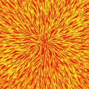 Cars & Trains - We Are All Fire in der Gruppe VINYL bei Bengans Skivbutik AB (1012516)