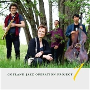 Jean-Simon Maurin Gunnel Mauritzso - Gotland Jazz Operation Project Vol in der Gruppe CD bei Bengans Skivbutik AB (1016298)