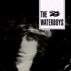 The Waterboys - Waterboys in der Gruppe VINYL bei Bengans Skivbutik AB (1020032)
