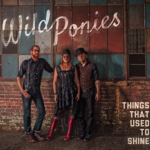 Wild Ponies - Things That Used To Shine in der Gruppe CD bei Bengans Skivbutik AB (1023740)