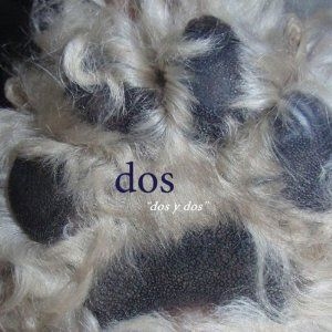 Dos (Mike Watt) - Dos Y Dos in der Gruppe CD bei Bengans Skivbutik AB (1023826)