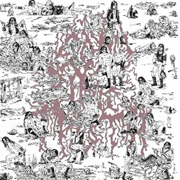 Soft Pink Truth The - Why Do The Heathen Rage? in der Gruppe VINYL / Rock bei Bengans Skivbutik AB (1029352)