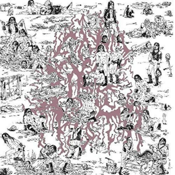 Soft Pink Truth The - Why Do The Heathen Rage? in der Gruppe CD / Rock bei Bengans Skivbutik AB (1029353)