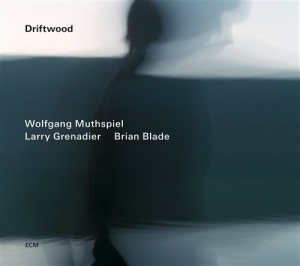Wolfgang Muthspiel/Larry Grenadier/ - Driftwood in der Gruppe CD bei Bengans Skivbutik AB (1030638)