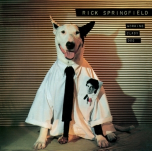 Springfield Rick - Workingclass Dog in der Gruppe CD bei Bengans Skivbutik AB (1032129)