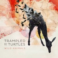 Trampled By Turtles - Wild Animals in der Gruppe CD bei Bengans Skivbutik AB (1032211)