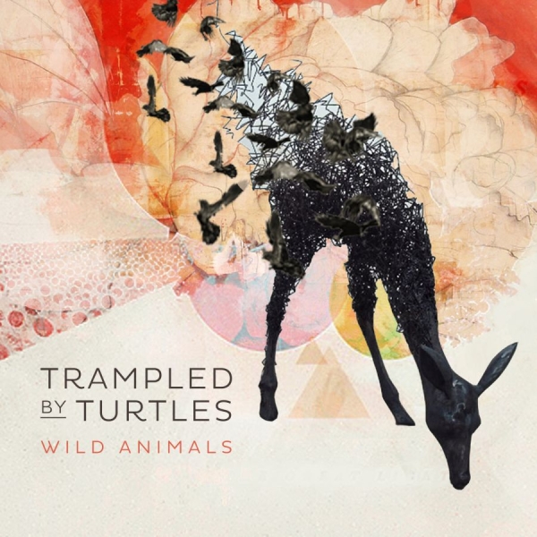 Trampled By Turtles - Wild Animals in der Gruppe CD / Rock bei Bengans Skivbutik AB (1032211)