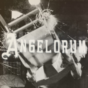 Apollo James - Angelorum in der Gruppe CD bei Bengans Skivbutik AB (1044926)