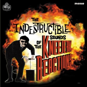 Kneejerk Reactions - Indestructible Sounds Of... in der Gruppe CD bei Bengans Skivbutik AB (1044963)