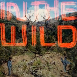 Faltydl - In The Wild in der Gruppe VINYL bei Bengans Skivbutik AB (1047640)