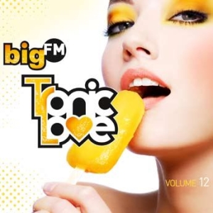 Various Artists - Big Fm Tropic Love Vol.12 in der Gruppe CD bei Bengans Skivbutik AB (1058282)