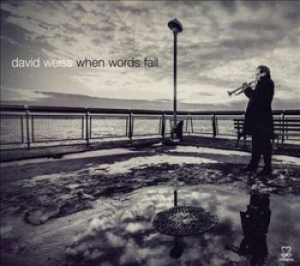 Weiss David - When Words Fail in der Gruppe CD bei Bengans Skivbutik AB (1088423)