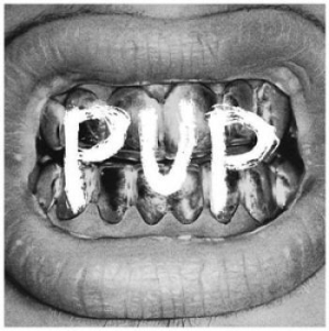 Pup - Pup in der Gruppe CD bei Bengans Skivbutik AB (1088484)