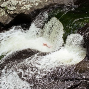 Fugitives - Everything Will Happen in der Gruppe CD bei Bengans Skivbutik AB (1098854)