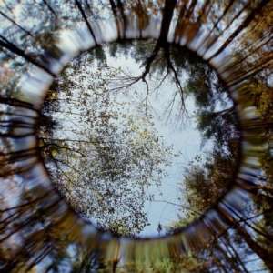 Martin Duffy - Assorted Promenades in der Gruppe VINYL bei Bengans Skivbutik AB (1099990)