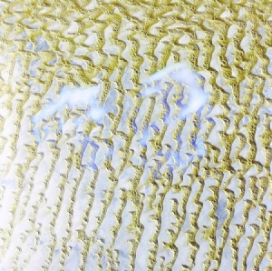Nguzunguzu - Mirage ep in der Gruppe -Start LCV bei Bengans Skivbutik AB (1102291)