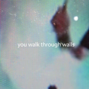 You Walk Through Walls - You Walk Through Walls (Lim.Ed.Colo in der Gruppe VINYL bei Bengans Skivbutik AB (1105199)