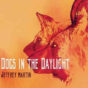 Martin Jeffrey - Dogs In The Daylight in der Gruppe CD bei Bengans Skivbutik AB (1105351)