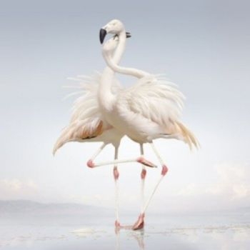 Rustie - Green Language in der Gruppe VINYL / Pop bei Bengans Skivbutik AB (1105686)