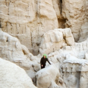 Ps Worship - Social Rust in der Gruppe CD bei Bengans Skivbutik AB (1108012)