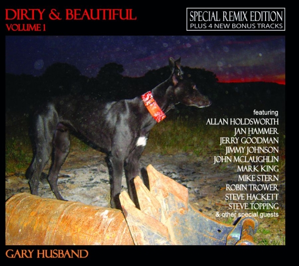 Husband Gary - Dirty And Beautiful 1 (Remix + Bonu in der Gruppe CD / Jazz/Blues bei Bengans Skivbutik AB (1111434)