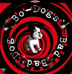 Bo-Dogs - Bad Bad Dog! in der Gruppe CD bei Bengans Skivbutik AB (1114186)