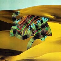 Django Django - Django Django (The Album) in der Gruppe VINYL bei Bengans Skivbutik AB (1114242)