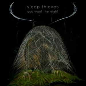Sleep Thieves - You Want The Night in der Gruppe VINYL / Pop-Rock bei Bengans Skivbutik AB (1117890)