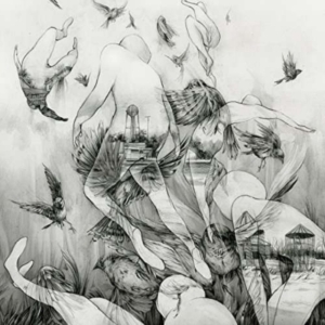Mono - Last Dawn in der Gruppe CD bei Bengans Skivbutik AB (1117906)
