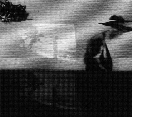 Foxx  John & Steve D'agostino - Evidence Of Time Travel in der Gruppe CD bei Bengans Skivbutik AB (1125492)