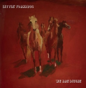 Little Tornados - We Are Divine in der Gruppe VINYL bei Bengans Skivbutik AB (1125535)