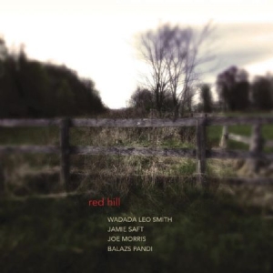 Wadada Leo Smith Jamie Saft Joe M - Red Hill in der Gruppe CD bei Bengans Skivbutik AB (1125539)