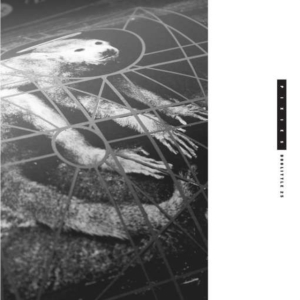 Pixies - Doolittle 25 in der Gruppe Minishops / Pixies bei Bengans Skivbutik AB (1126365)