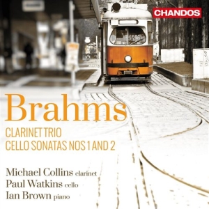 Brahms - Clarinet Trio in der Gruppe CD bei Bengans Skivbutik AB (1126887)
