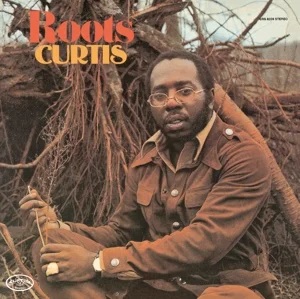Curtis Mayfield - Roots in der Gruppe CD bei Bengans Skivbutik AB (1129928)