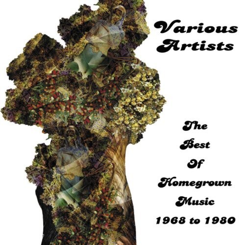 Various Artists - Best Of Homegrown Music 1968-1980 in der Gruppe CD / Rock bei Bengans Skivbutik AB (1131387)