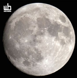 Wulfband - Wulfband in der Gruppe Labels / Progress Productions bei Bengans Skivbutik AB (1133483)