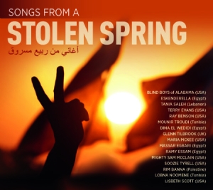 Various Artists - Songs From A Stolen Spring in der Gruppe CD bei Bengans Skivbutik AB (1134493)