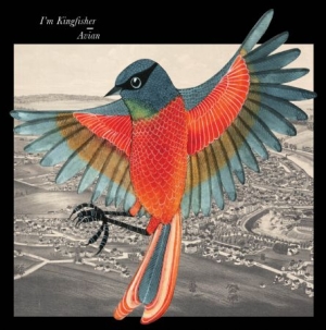 I'm Kingfisher - Avian - Red Vinyl in der Gruppe VINYL bei Bengans Skivbutik AB (1135387)