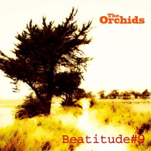 Orchids - Beatitude # 9 in der Gruppe CD bei Bengans Skivbutik AB (1136905)